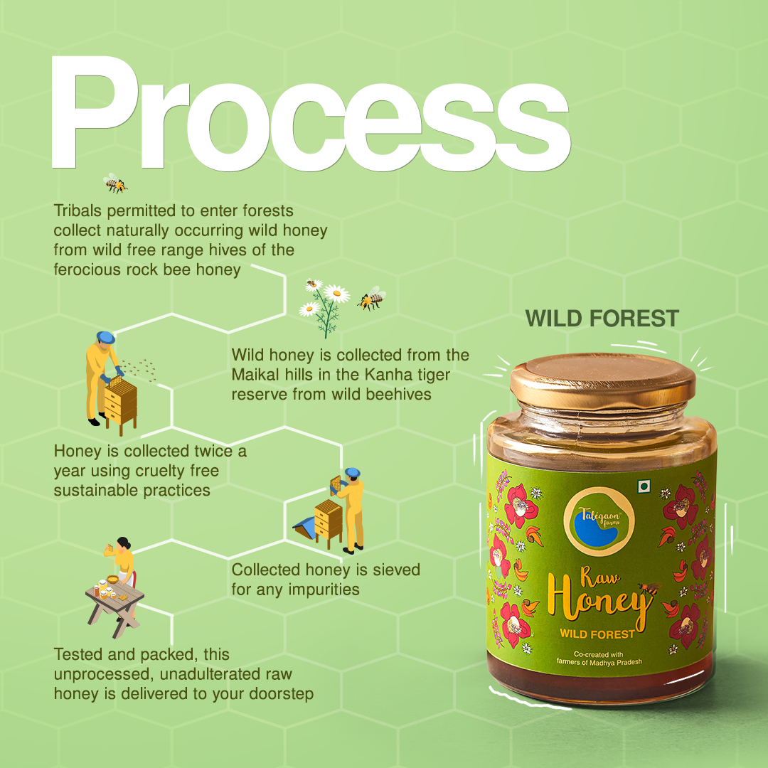 Raw Wild Forest Honey